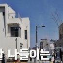 도예촌막국수