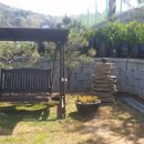 금단비펜션 이미지