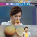 레몬PC 이미지