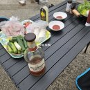 시골캠핑장작 | 코스트코 고체연료와 테무발 태양광 조명 어떨까? 시골캠핑 후기