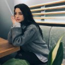 다샤