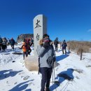 제당골 | 겨울 태백산 등산(당골광장,천제단,장군봉,원점회귀 and 눈축제)