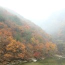 도수암계곡 이미지