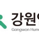 강원 디지털 성인문해교육 강원도민일보