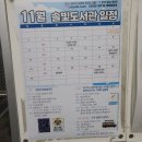 솔빛도서관 | 파주 금촌3동 솔빛도서관 도킹프로젝트 그림책입체낭독극 후기