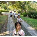 상수리숲 농장 Daum카페