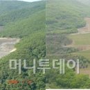 녹색산