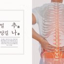 솔찬한의원 이미지