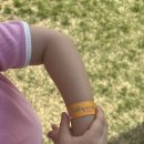 오감만족 | 여기저기 키즈카페 난지한강공원 오감놀이터, 매우 만족스러운 후기