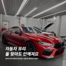 나인티게러지 이미지