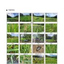 한새봉두레 이미지