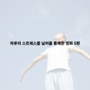 Hitman’s Wife’s Bodyguard | [영화추천] 스트레스를 날려줄 사이다 결말의 영화 5편