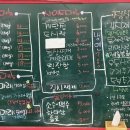 산본꽃돼지 이미지
