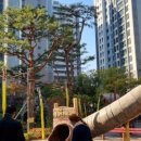 서울소의초등학교 | [부동산]11년 살아보니 마포는 하나의 동네가 아니었다!