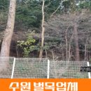 (SK)안양충전소 이미지