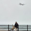 옥동농장 | 6살터울남매 겨울제주여행 - 점보빌리지,신화월드신화관