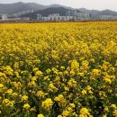 개금인제빌리지 이미지