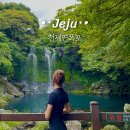 천제연폭포 | 제주 중문 가볼만한곳 천제연폭포 여행코스 입장료 소요시간