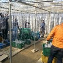 이배농장 이미지