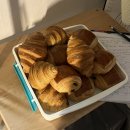 비양길100 | 개강하긴했어 일단은