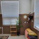 라온키즈풀빌라 이미지