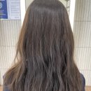 빌드 티스토리