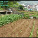 월영동108 이미지