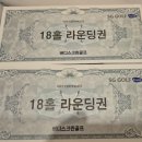 버디스크린골프 | 버디 스크린 골프