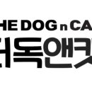 앤더독 이미지