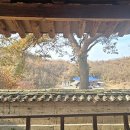 어필영정각(御筆影幀閣) Daum카페