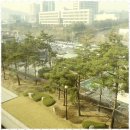 한준법무사사무소 | 퇴사한직원컴퓨터포렌식 전문성과 신뢰가 넘치는 한준 법무사사무소 후기
