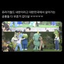 모쿄 | 🐢 2025.07 - 1 | 이건 첫 번째 레슨 좋은 건 함께 나누기