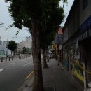 그린 EV모터스 | 보문역 오토바이 ms모터스(kr모터스) - 와코 전기스쿠터 ev-e6s 올리브그린 출고 후기