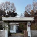 곽산 | [포항-효자동] 여자친구가 무조건 좋아하는 레스토랑 ‘스틸룸 코티지’ 내돈내산 후기🩷
