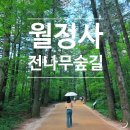 대관령황토펜션 | 강원도 평창 스테이 숙박 및 체험 지원 퀸스가든 펜션 여름휴가 티 블렌딩 목공체험 월정사 전나무숲길...