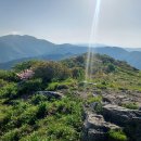 지리산 ＜성삼재~노고단~반야봉＞ 이미지