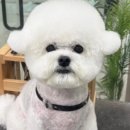 무거동 봄이네 이미지