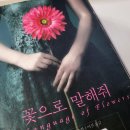 꽃으로말해줘