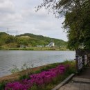 중대물빛공원 이미지