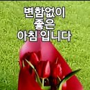 행복한하루 이미지