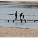 영주 무섬마을 이미지