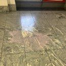 해바라기민박 | [파리 여행]샤갈, 야르, 암내의 도시(1)(+해바라기 민박 후기)