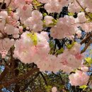 마치1리 경로당 이미지