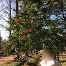 산림놀이 | 나주 여행 | 전라남도산림연구원 후기, 운영/주차 정보