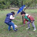 로뎀나무 아래 이미지