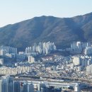 백양푸른채(당감주공3단지) 이미지