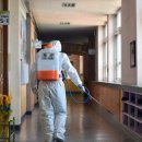 새론초교 이미지