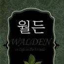 생활속의 H 네이버블로그