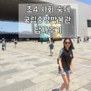중앙리플렛 | 초4 사회숙제 국립중앙박물관 답사후기(1층)