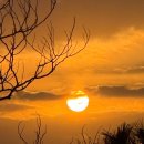 작살아구찜해물찜 이미지